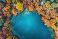 Aerial photography capturing vibrant colors in natural landscapes. Multicolor trees from above