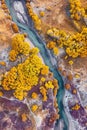 Aerial photography capturing vibrant colors in natural landscapes. Multicolor trees from above