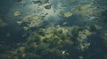 Aerial Photography: Clouded Sky Over Algae Pond