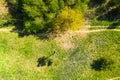 Aerial photography a dirt road in the middle of a fir forest from a dron Royalty Free Stock Photo