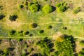 Aerial photography a dirt road in the middle of a fir forest from a dron Royalty Free Stock Photo