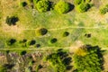 Aerial photography a dirt road in the middle of a fir forest from a dron Royalty Free Stock Photo