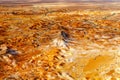 Kati Thanda-Lake Eyre in South Australia, Australia