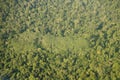 Aerial photography of the rainforest in the Upper Amazon, Ecuado