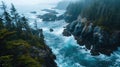 Aerial Photography, rugged coastline of the Pacific Northwest, temperate oceanic climate, rocky shores, dense forests