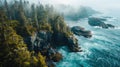 Aerial Photography, rugged coastline of the Pacific Northwest, temperate oceanic climate, rocky shores, dense forests