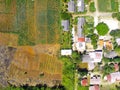 Aerial photography a view Plantation and agricultural land in the hill valley