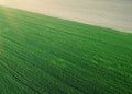 Aerial photography of young wheat field and arable crop land