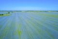 Aerial photos, multi-colored fields of yellow-blooming rapeseed, blue flax like a patchwork blanket stretch to the horizon