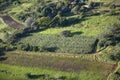Aerial photos of overlooking Lewa Conservancy and lodging in Kenya, Africa Royalty Free Stock Photo