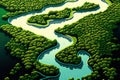 aerial picture of river meandering through the deltas luxuriant green vegetation Royalty Free Stock Photo