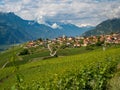 AERIAL: Quiet alpine village under the stunning Swiss Alps on a summer day. Royalty Free Stock Photo