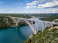 Aerial picturesque view with a deck arch bridge