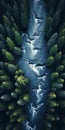 Aerial Portrait Of Energy-filled Norwegian Forest: Dark Teal And Dark White