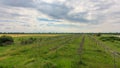 Antenna of radio astronomy observatory UTR-2 Royalty Free Stock Photo