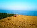 Aerial of red combine harvester working in wheat field near cliff with sea view on sunset. Harvesting machine cutting Royalty Free Stock Photo