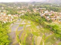 Aerial rice fields that are flooded after rain