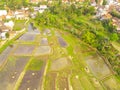 Aerial rice fields that are flooded after rain