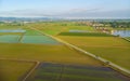 Aerial: rice paddies, flooded cultivated fields farmland rural italian countryside, agriculture occupation, sprintime in Piedmont, Royalty Free Stock Photo