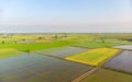 Aerial: rice paddies, flooded cultivated fields farmland rural italian countryside, agriculture occupation, sprintime in Piedmont, Royalty Free Stock Photo