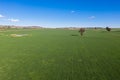 Aerial Rural Scene - Cowra NSW Australia