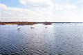 Aerial from sailing at the Loosdrechtse plassen in the Netherlands Royalty Free Stock Photo