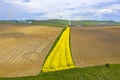 Aerial scene with small canola field