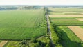 Aerial shot of agricultural green fields. Farm fields drone shot view from above