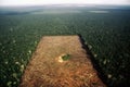 Aerial shot of an area of amazon forest without trees, felled and deforested. Ai generated Royalty Free Stock Photo