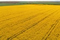 Aerial shot of beautiful cultivated landscape with rapeseed, wheat and corn crop fields Royalty Free Stock Photo
