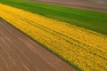 Aerial shot of beautiful cultivated landscape with rapeseed, wheat and corn crop fields Royalty Free Stock Photo