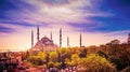 Aerial shot of Blue Mosque surrounded by trees in Istanbul`s Old City - Sultanahmet, Istanbul, Turkey Royalty Free Stock Photo