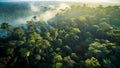 Aerial shot the breathtaking expanse of a green tropical forest. Generative AI