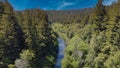 Aerial shot of California redwood forest Royalty Free Stock Photo