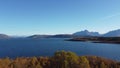 Aerial shot of a colorful autumnal forest in Hamaroy, Norway