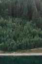 Aerial shot of coniferous forest and lake, mirror reflection, wild mountain wood landscape. Fir forest and mountain lake wallpaper Royalty Free Stock Photo