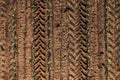 Aerial shot of corn seedling field from drone pov directly above with tractor tyre tracks in soil Royalty Free Stock Photo