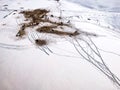 Aerial shot of dairy cattle cows Royalty Free Stock Photo