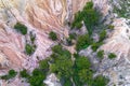 Aerial shot of a desert canyon with a scattering of small green trees growing among the rocks