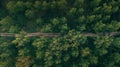 Aerial shot of dirt road through green poplar woodland in summer