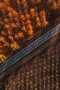 Aerial shot of empty asphalt road through deciduous forest in fall afternoon, drone pov Royalty Free Stock Photo