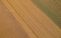 Aerial shot of endless fields in Slavonia, Croatia