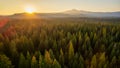 Aerial Shot of Fall Color in the forest in the Cascade Mountains in Bend Oregon