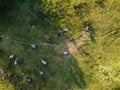 Aerial shot of a farm with buffaloes and egret birds with a fence and sunlight