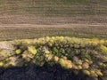 Aerial shot of field, forest and overgrown riverside. Aerial view of farmland and green trees. Countryside landscape. Plowed soil Royalty Free Stock Photo