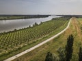 Aerial shot of a field with rows of trees near a river