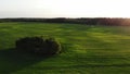 Aerial shot, flight near green trees in the country side green field on the background, belarus, summer sunny day sunset Royalty Free Stock Photo