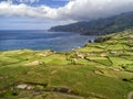 Aerial shot of flores coast and pastures