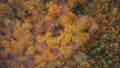 Aerial shot of a footpath between orange-red forests at sunset in Slovak forests. Autumn fairy tale. Variety and colourfulness of Royalty Free Stock Photo