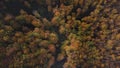 Aerial shot of a footpath between orange-red forests at sunset in Slovak forests. Autumn fairy tale. Variety and colourfulness of Royalty Free Stock Photo